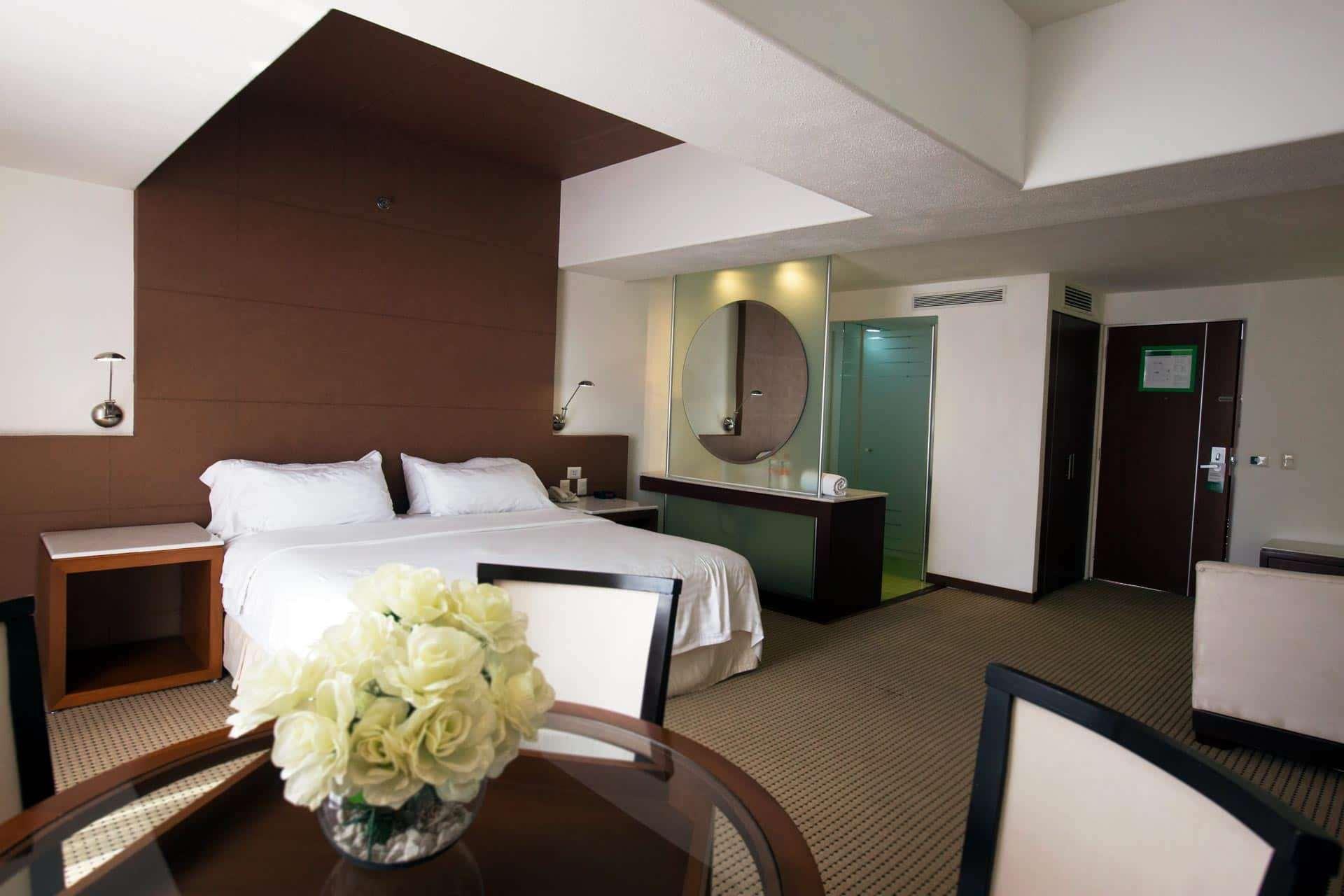 Hotel & Suites Bel Air Business Саламанка Экстерьер фото